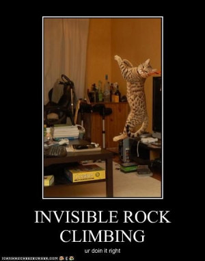 ... , Funny Cat, Fun Stuff, Invisible Rocks, Rocks Climbing, Funny Stuff