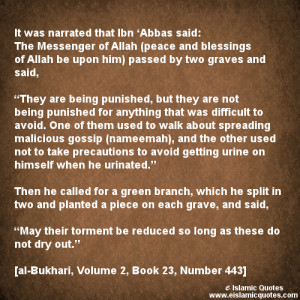 Islamic Quotes on Backbiting