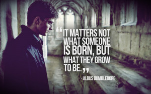 Quotes harry potter philosophy daniel radcliffe albus dumbledore ...