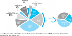 Infant Mortality Rate The