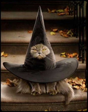 28 Halloween costumes for your dear pet, your cat will rock.