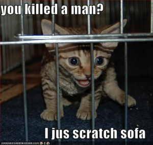 funny-pictures-kitten-jail.jpg#jail%20funny%20500x473