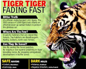 Why Save Tigers?