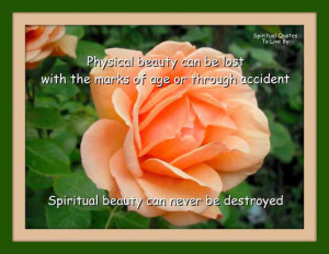 Physical beauty vs Spiritual Beauty quote on photograph of rose
