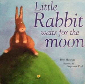 Some Crazy Quotes Blog