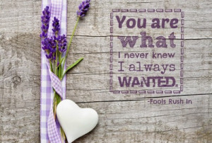 ... met that special someone, you never realized just what you needed in