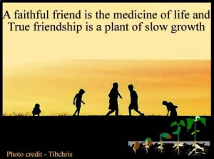 Faithful Friend Is The Medicine Of Life