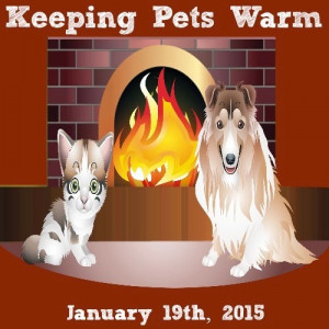 Keep Indoor Cats Warm in Winter
