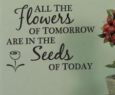 ... planting the seeds of learning each day, is very important and