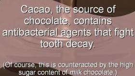 Dark Chocolate Antioxidant: Chocolate is Good For You