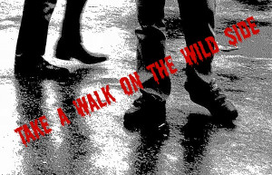 Walk The Wild Side Gata Negra