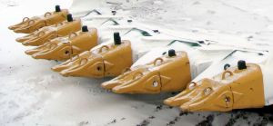 For further information please contact: