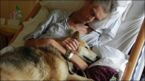 もう一度、飼っていた犬に会いたい」ホームレス ...