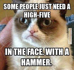 Cat Memes – High Five with Hammer
