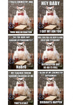 chemistry cat memestache one site chemistry cat what did the