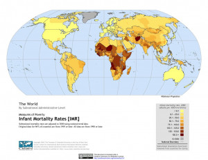 Infant Mortality Rate Imr The