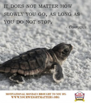 motivationalmondays #confucius #quotes #turtle