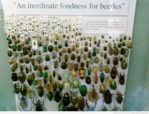 Quotes About Life Funny But True Tagalog Quotes About Life Funny But ...