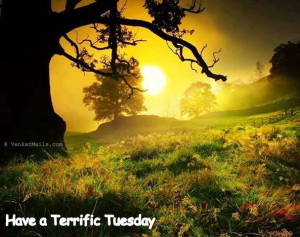 Good Morning Thoughts & Picture Quotes