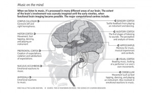 The Surprising Science Behind What Music Does To Our Brains