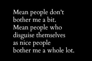 Mean people don't bother me a bit