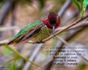 Hummingbird - Humility Quote - Inst ant Download Art (307) ...
