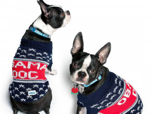 Cool Swag Quotes Tumblr Cool swag quotes tumblr.