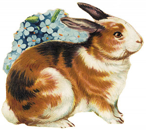 Easter Sentiments & Quotes - Religious & Not