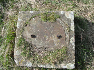 Thread: Can anyone tell me what this is??