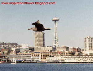 cought at right moment funny pics best motivational photo quotes