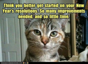 Funny new years resolutions, funny cat