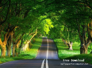 road summer-Beautiful natural scenery Desktop Wallpapers