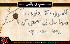Urdu Quotes ] Ansoun Kaa Jaari Na Hona