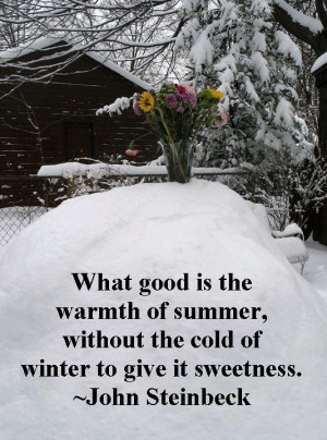summer in winter quote quotes flowers quotes summer winter