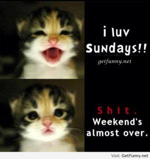 luv sundays - Funny Pictures, Funny Quotes, Funny Memes, Funny ...