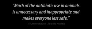 Stop The Overuse Of Antibiotics on Factory Farms