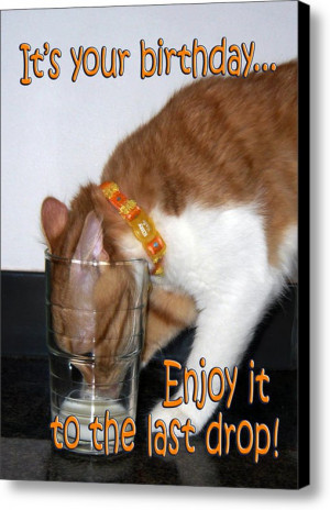 Happy birthday Poncho!