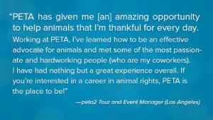 Work at PETA or the PETA Foundation