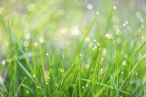 If Norma From “OITNB” Quotes Were Motivational Posters