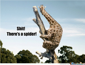 Even Giraffes Are Scared Of Spiders!