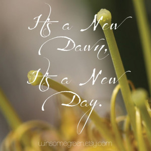new dawn // nina simone #lyrics #quote