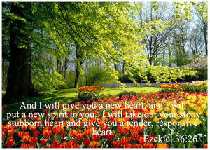 Bible Verses Wallpaper (Part 3)