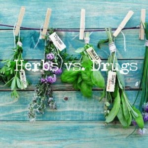 Herbs and Plants Work Better Than Pharmaceutical Drugs: but Herbalist ...