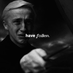 top tumblr posts top FB posts top tweets latest articles about