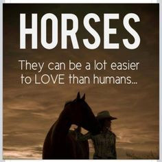 horse pics with sayings - Google Search