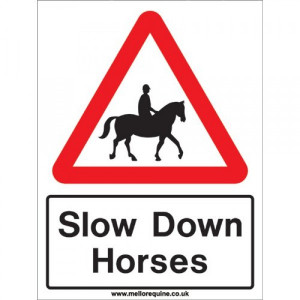 Slow Down Horses A4