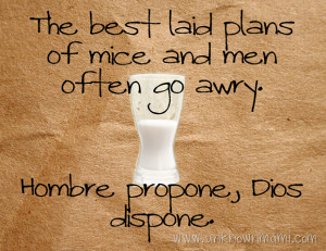 go awry” and “Hombre propone, Dios Dispone” are both sayings ...