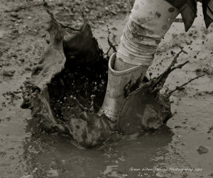 Mud Puddles Photograph by Green Wheelbarrow Photography