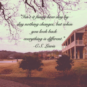 Lewis quote on gradual change.