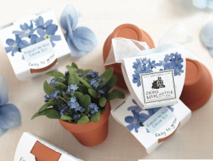 Forget Me Not Grow Kit